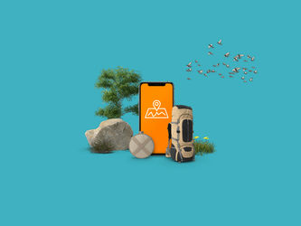 Vogels en planten herkennen? Apps voor in de natuur!
