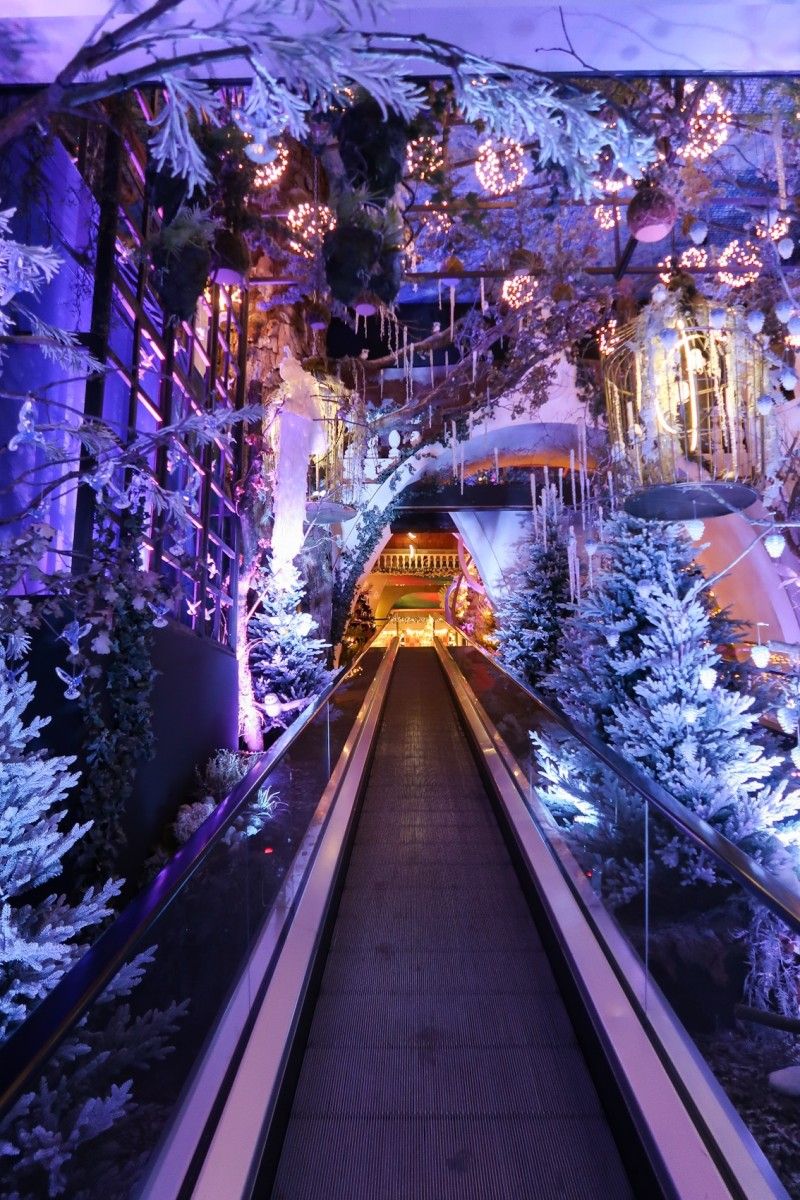Kerstshows in tuincentra