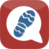 WandelZapp