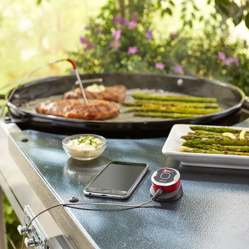 Vaderdag ideeën - iGrill
