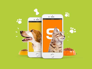 7 beestachtig leuke en handige apps voor je huisdier